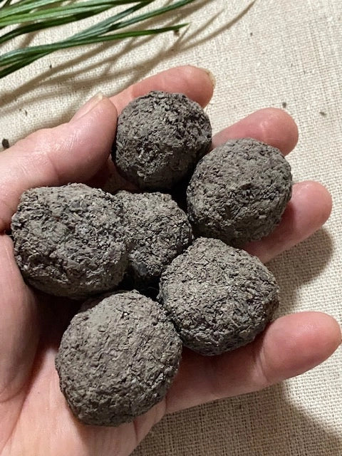 The Bee Seed Bomb