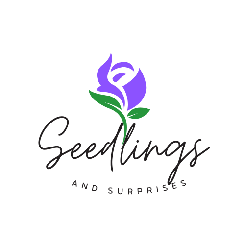 Seedlings and Surprises