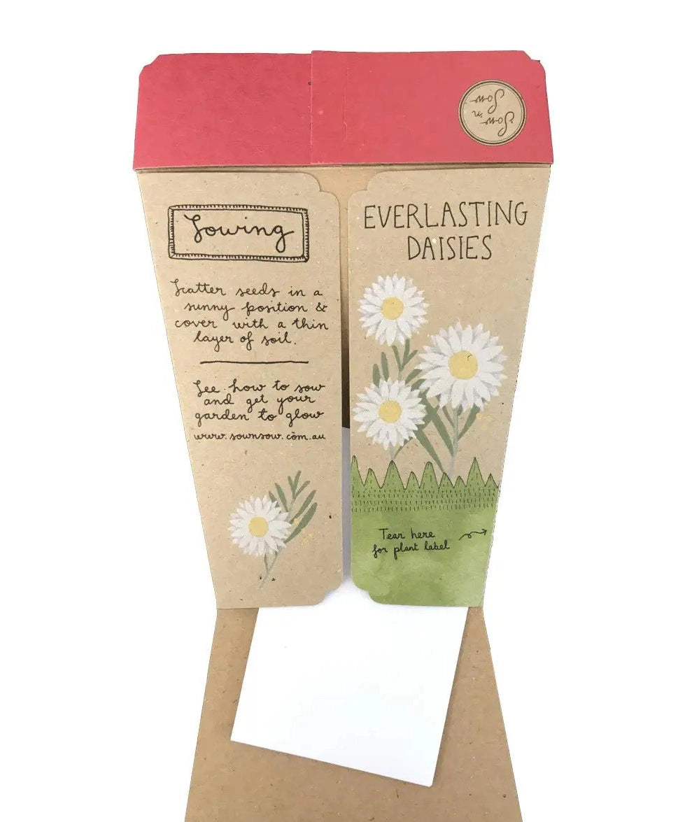 Sow 'n Sow Gift of Seeds Christmas Greetings - Everlasting Daises